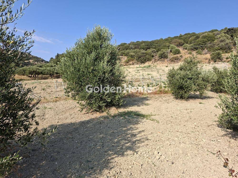 Εξωτερικός Χώρος