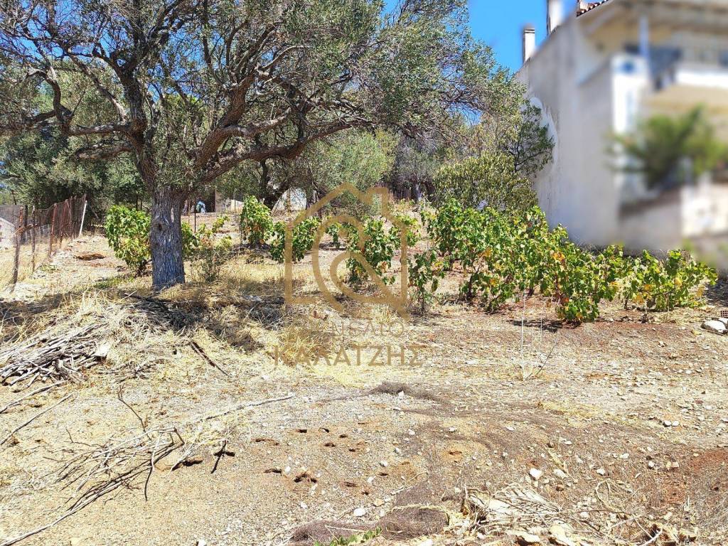 TO AKINETO ENDEIKNYTAI GIA TOYRISTIKE AXIOPOIESE