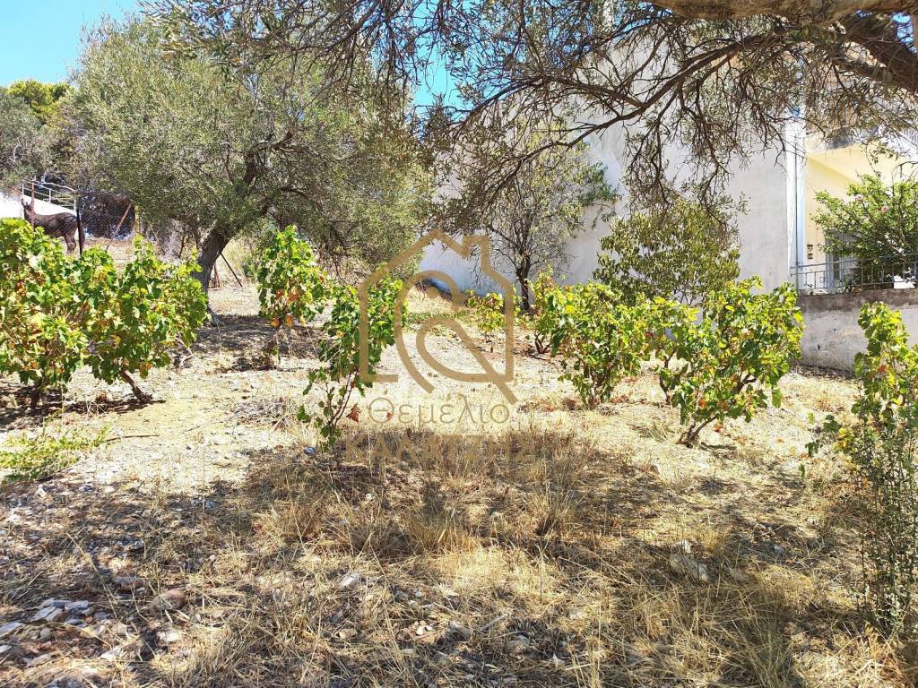 CHORIS MAZIKO TOYRISMO ALLA ME POIOTIKE ANAPTYXE