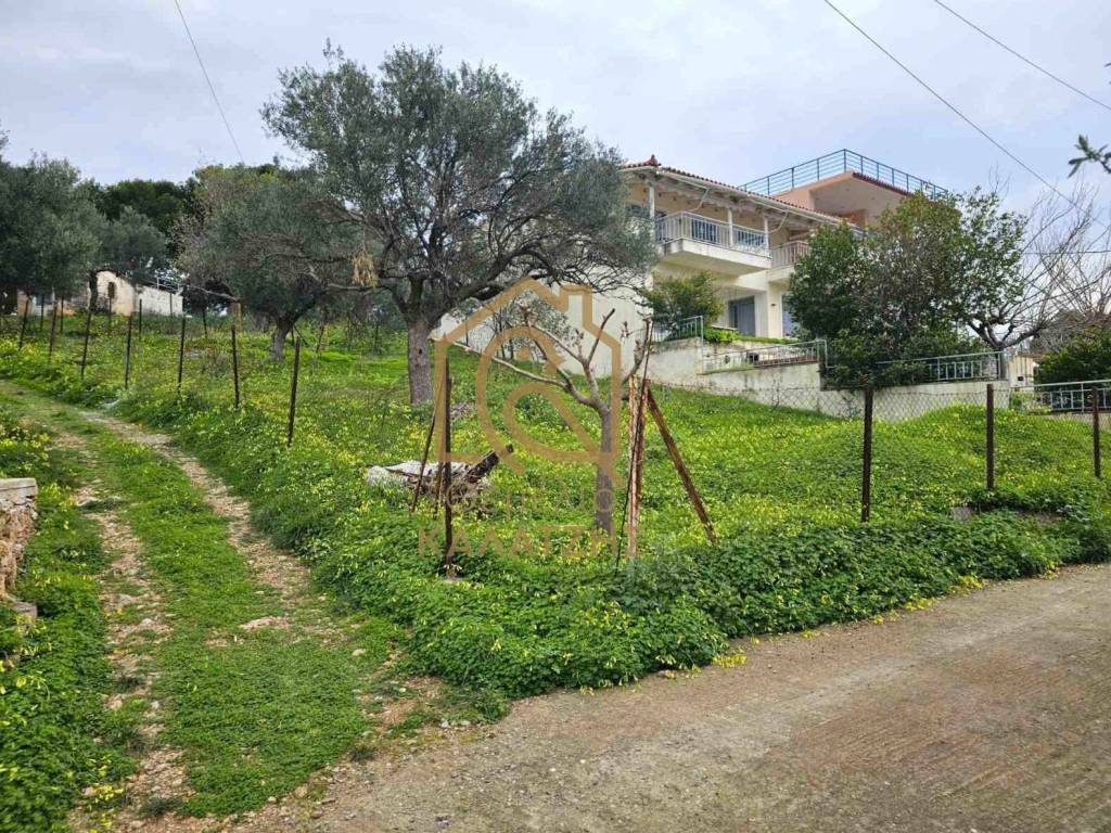 STO MEGALO LIMANI TON TRIZONION