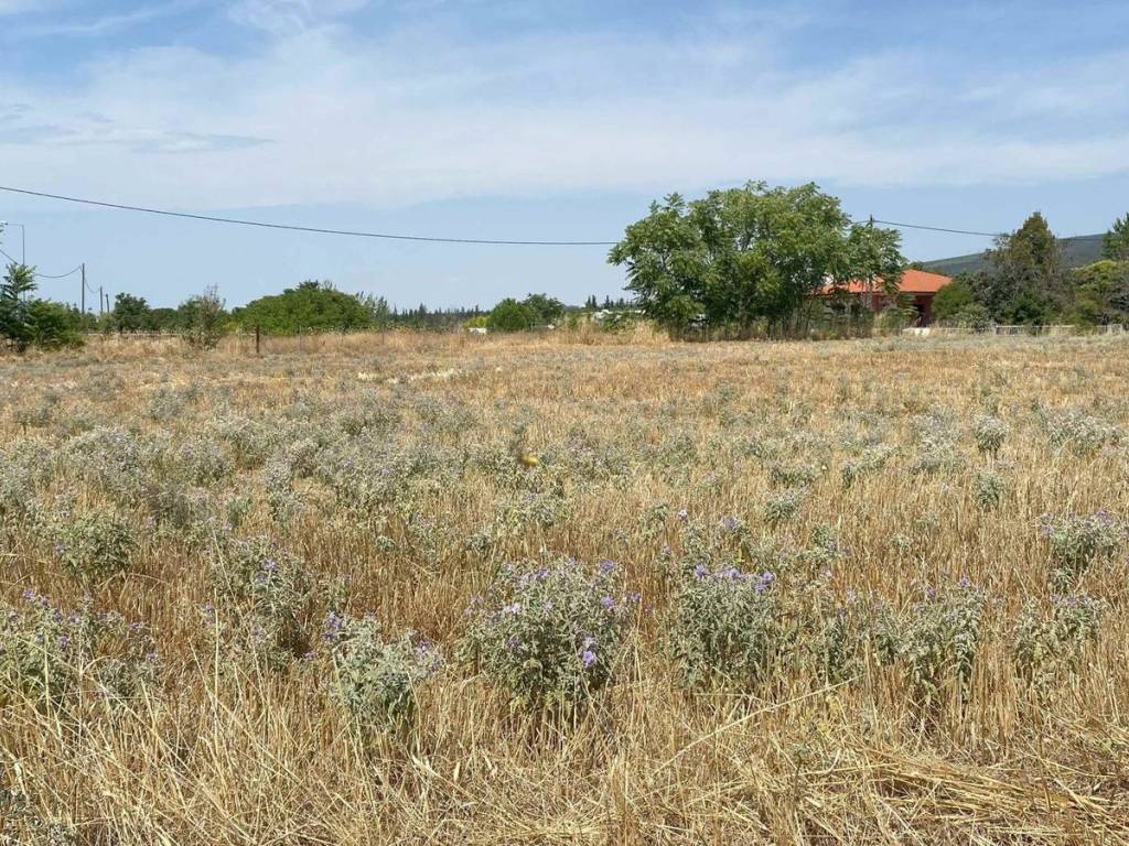 Εξωτερικοι χώροι