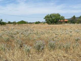 Εξωτερικοι χώροι