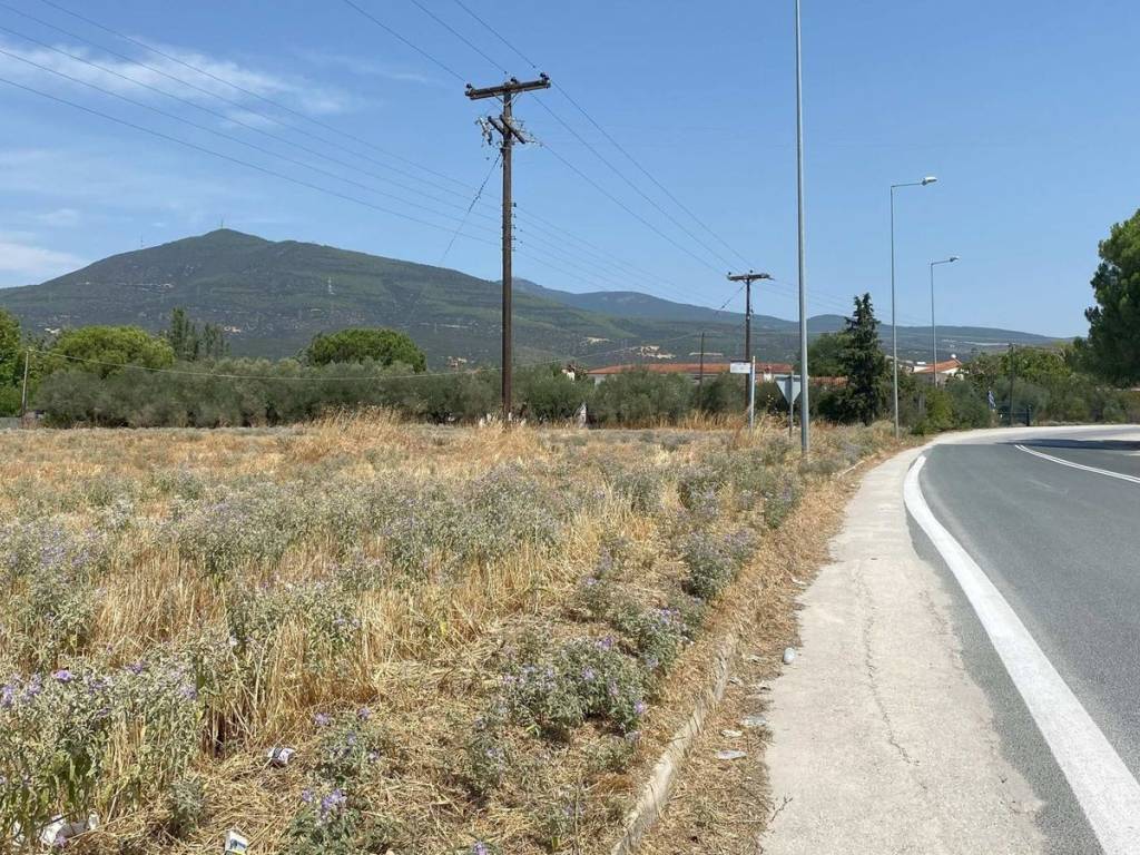 Εξωτερικοι χώροι