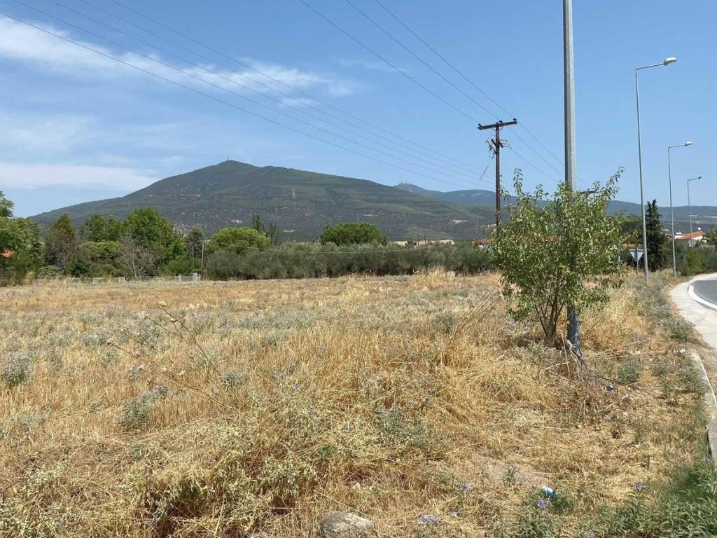 Εξωτερικοι χώροι