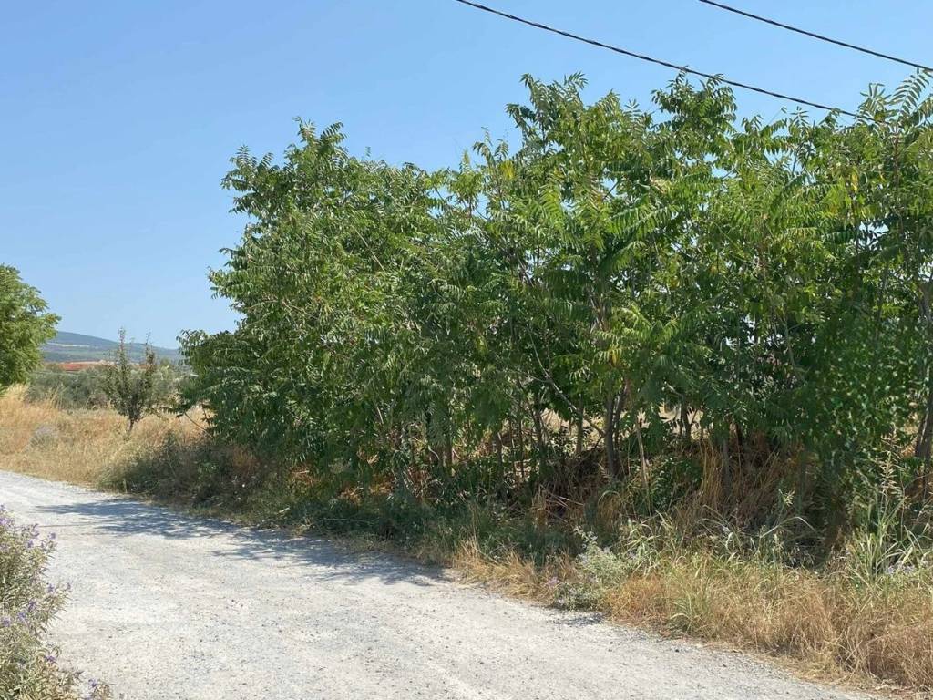 Εξωτερικοι χώροι