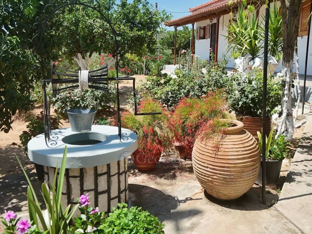 Εξωτερικός χώρος