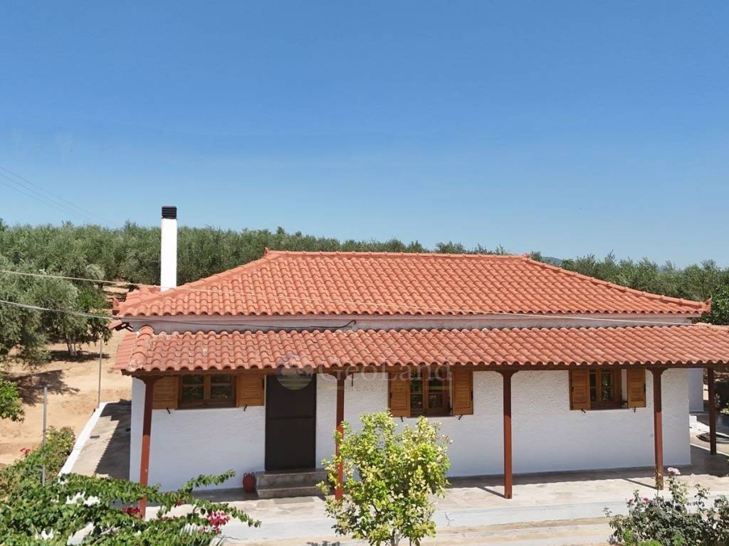 Εξωτερικός χώρος