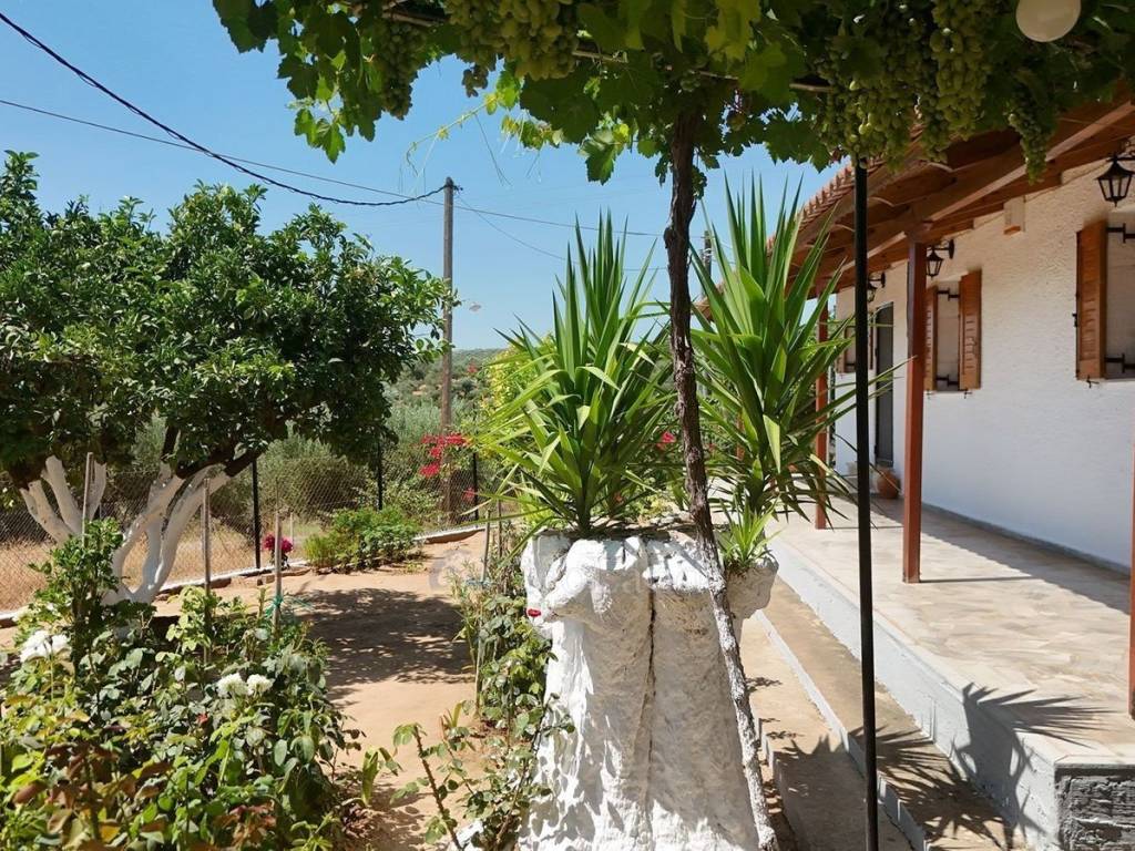 Θέα από μπαλκόνι