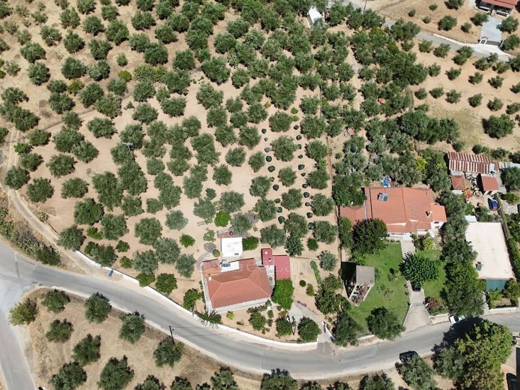 Ύπαρξη ανθρώπου