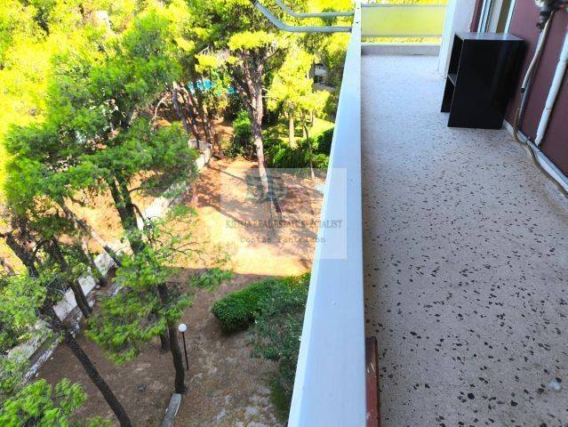 VIEW TO THE COMMON GARDEN