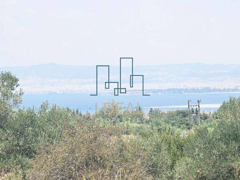 ΑΓΡΟΤΕΜΑΧΙΟ