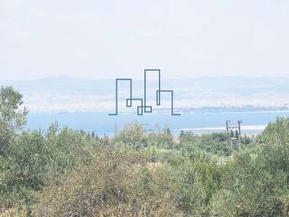 ΑΓΡΟΤΕΜΑΧΙΟ