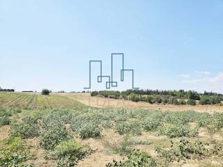 ΑΓΡΟΤΕΜΑΧΙΟ