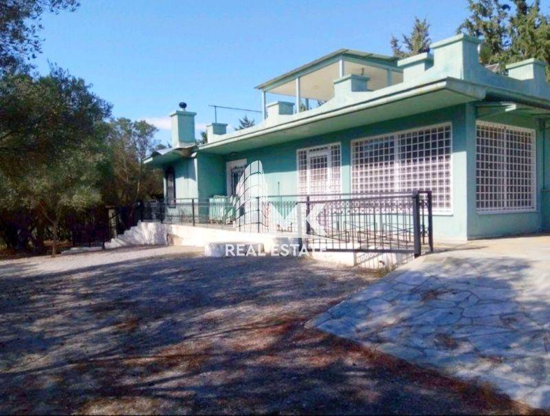 Εξωτερικός χώρος