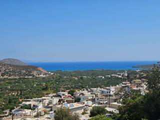 Plot - Grekodom 64004|1008359