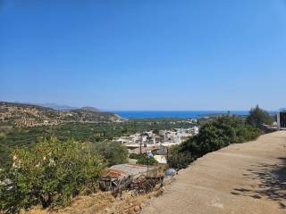 Plot - Grekodom 64004|1008352