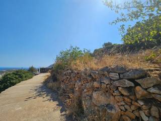 Plot - Grekodom 64004|1008354