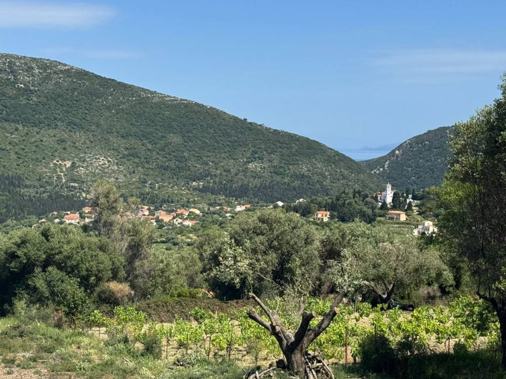 Views from the properties