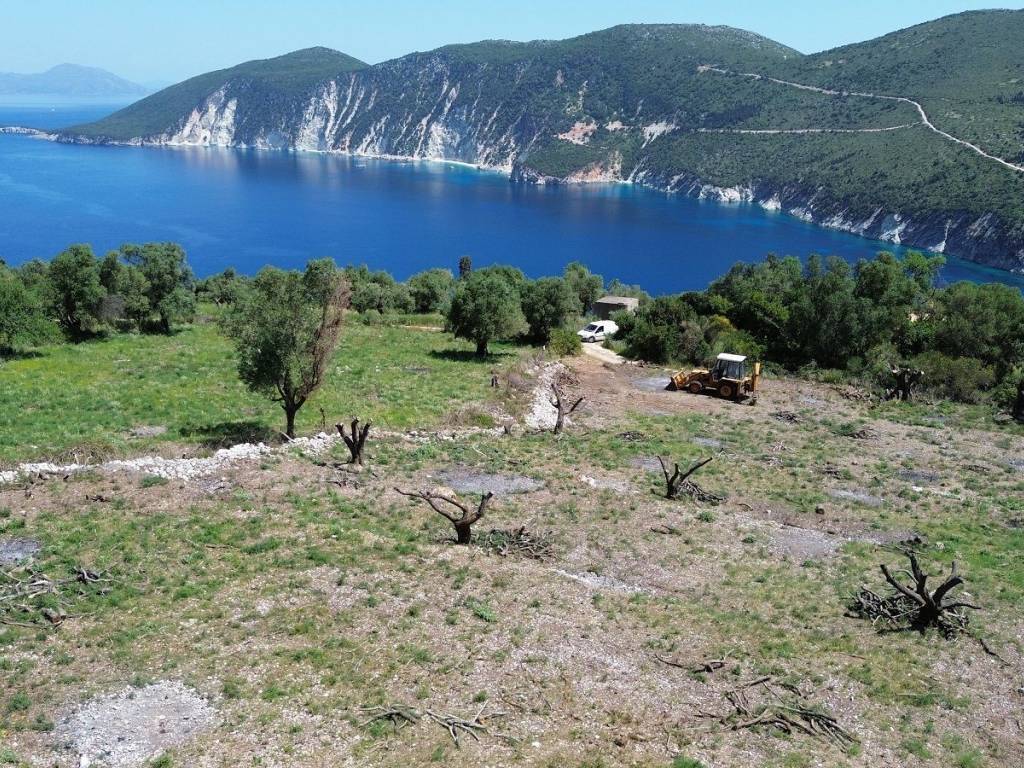 Sea views from the properties