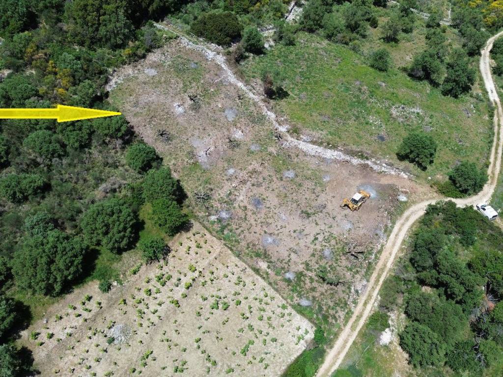 Aerial view and location of the plot