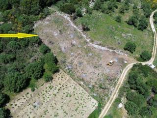 Aerial view and location of the plot