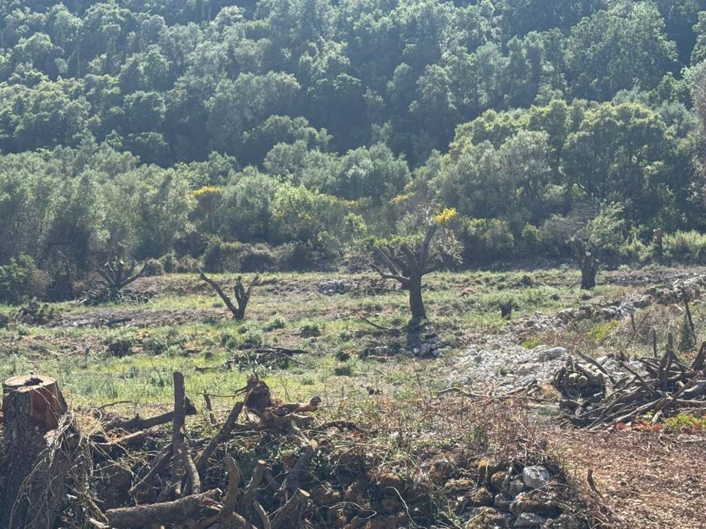 Terrain and landscape