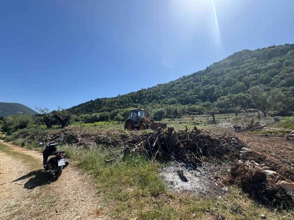 Terrain and landscape