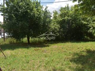 ΑΠΟΨΗ ΟΙΚΟΠΕΔΟΥ