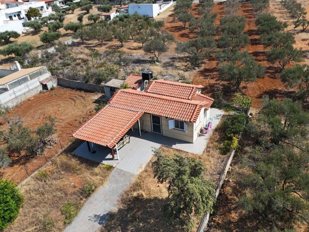 Εξωτερικός χώρος