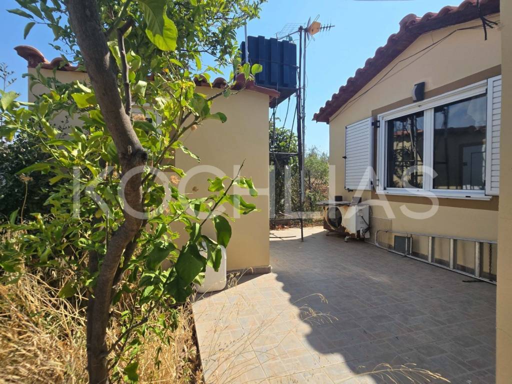 Εξωτερικός χώρος