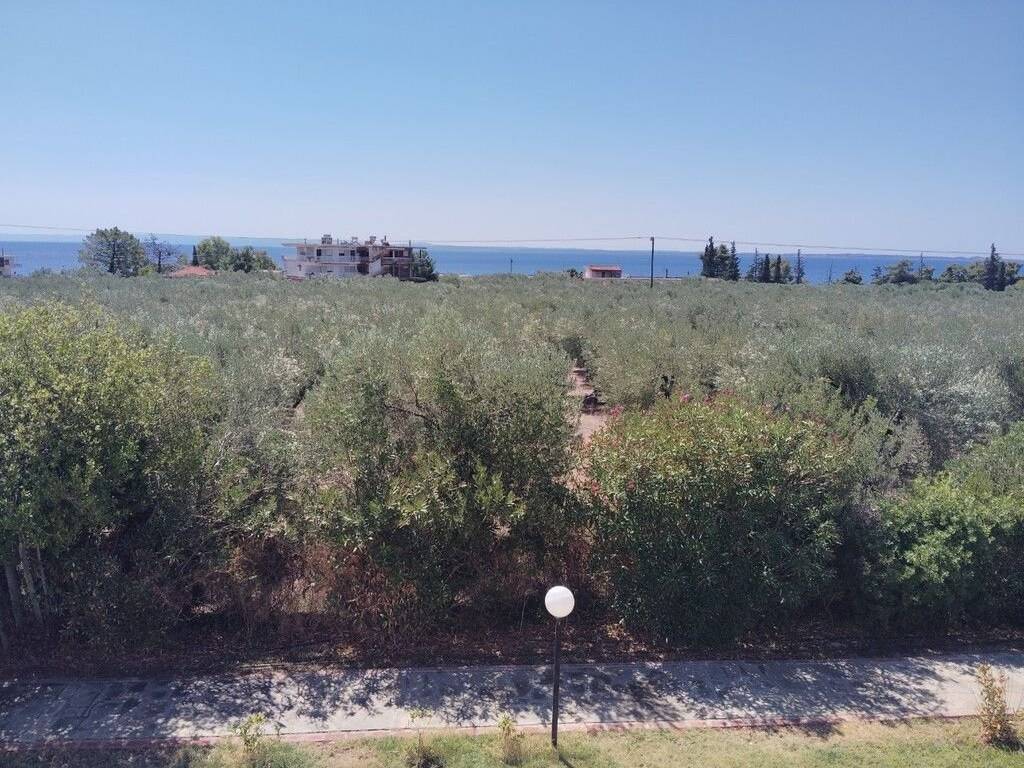 Maisonette - Grekodom 64006|1008385