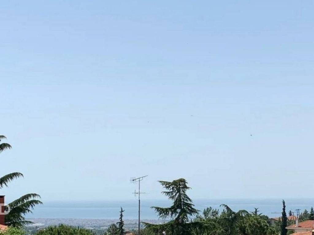 Forumland Real Estate, Απεριόριστη Θέα