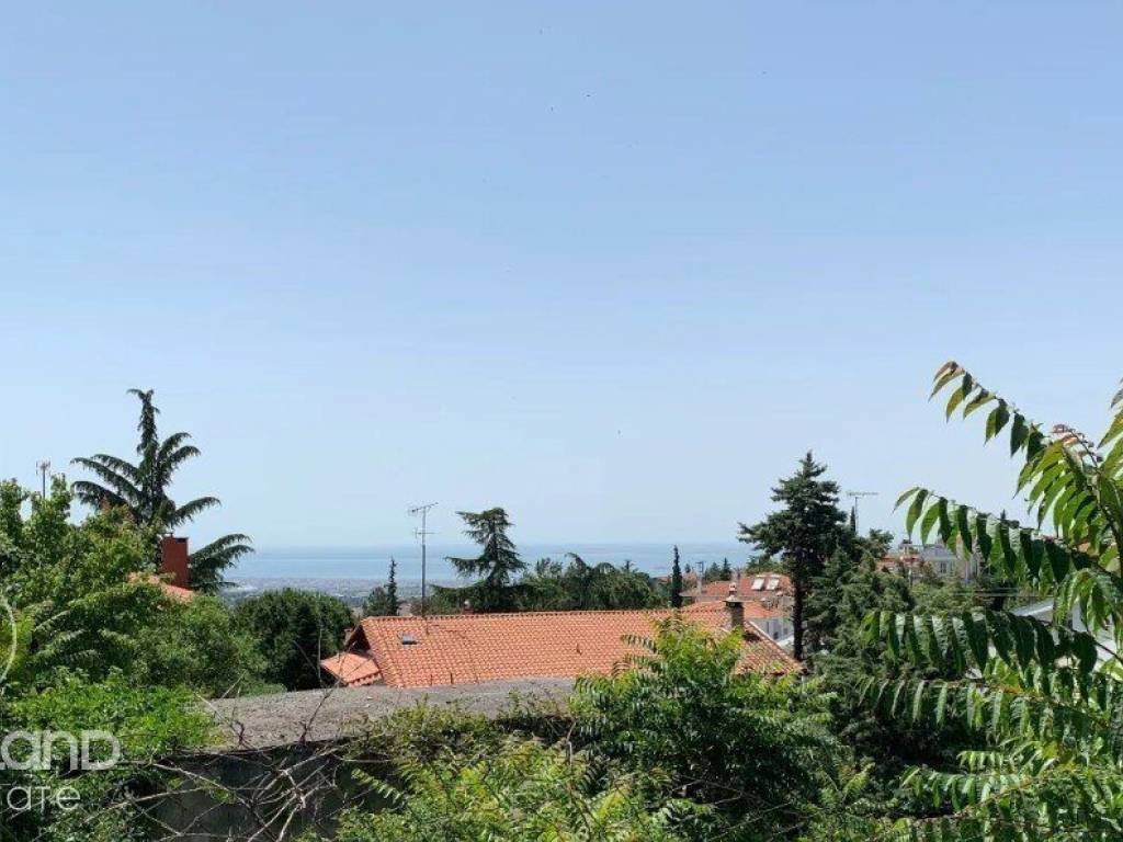 Forumland Real Estate, Απεριόριστη Θέα