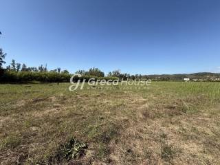 Oikodomesimo parathalassio oikopedo Pylos Gialoba pros polese