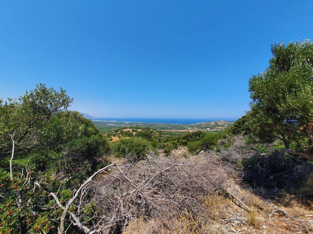 Plot - Grekodom 45854|669238