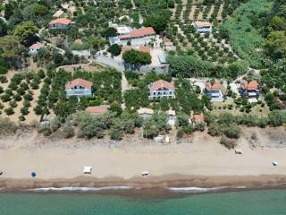 Ύπαρξη ανθρώπου