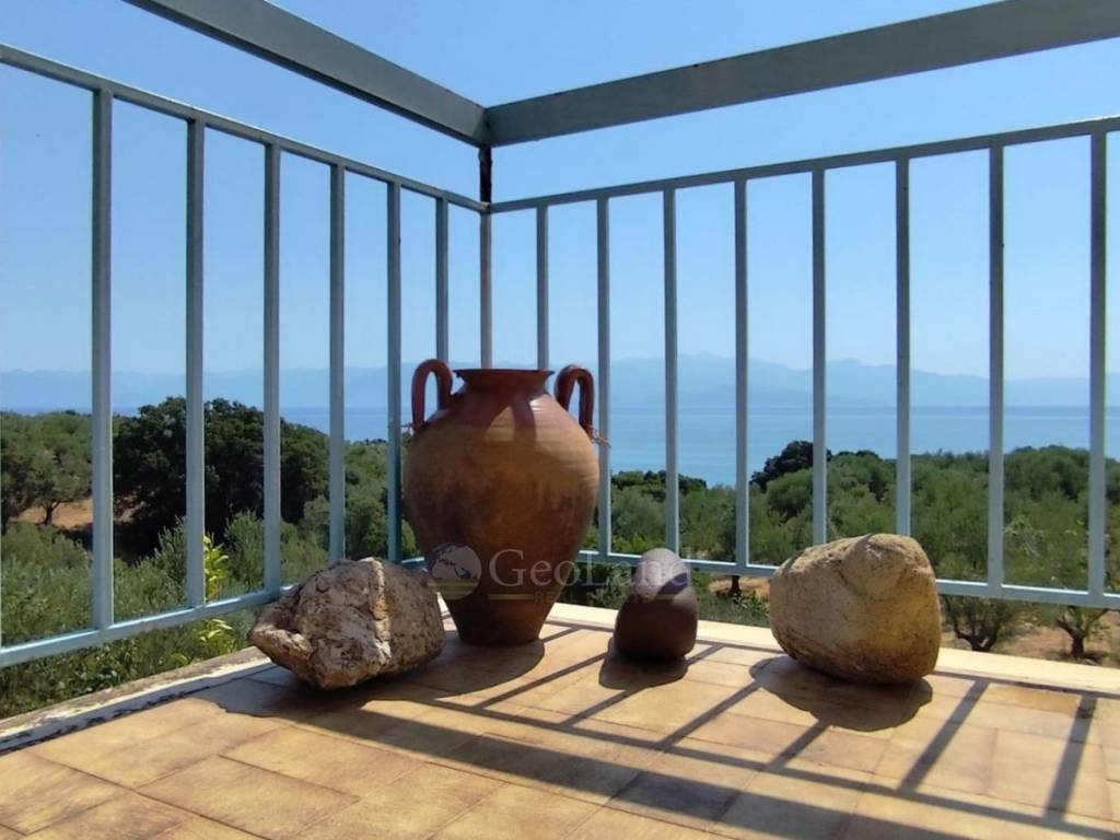 Ύπαρξη ανθρώπου