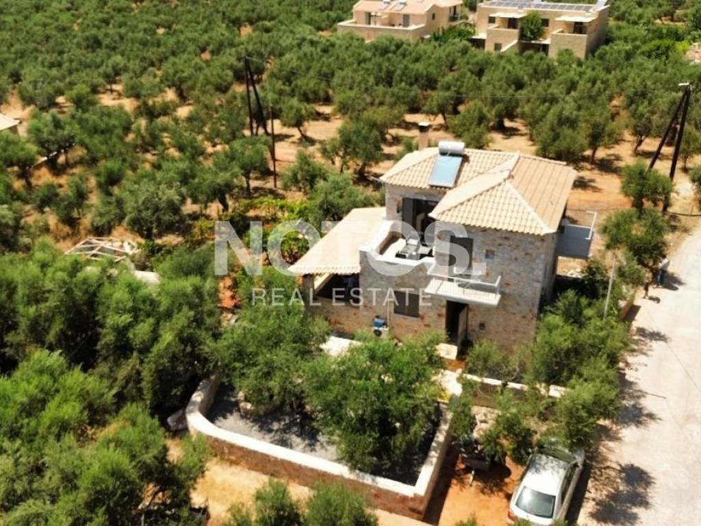 Ύπαρξη ανθρώπου