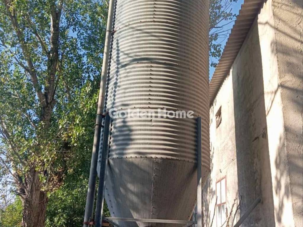 Ανελκυστήρας