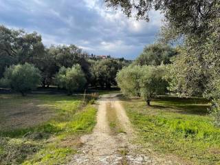 Detached - Grekodom 61220|930693