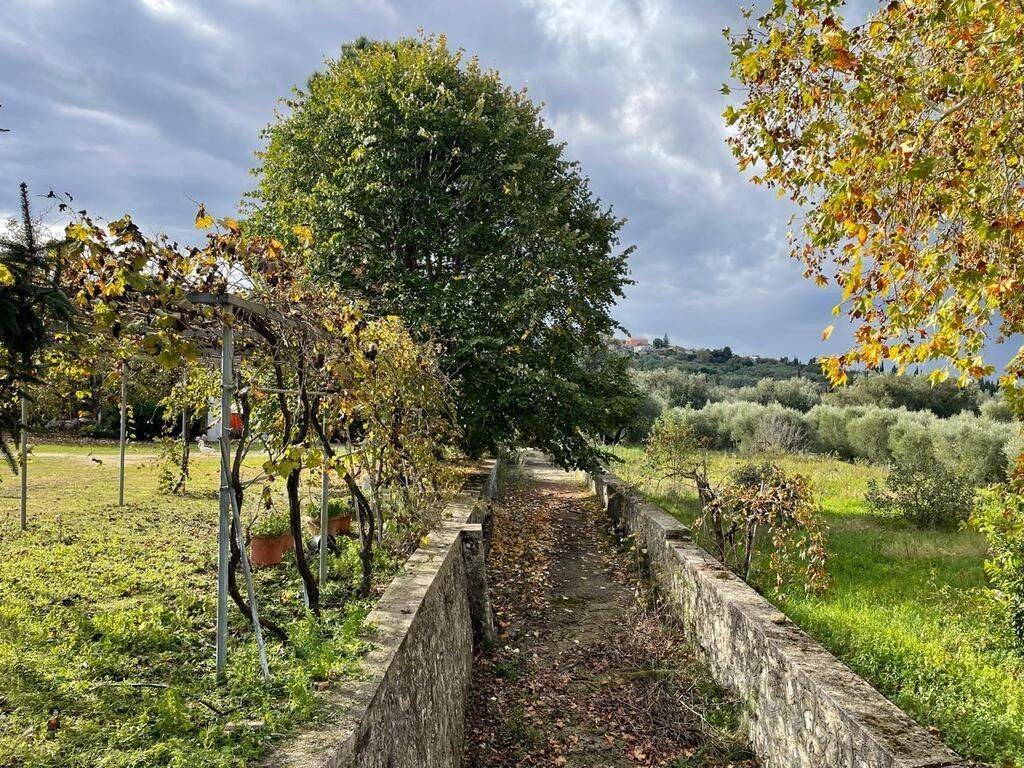 Detached - Grekodom 61220|930702