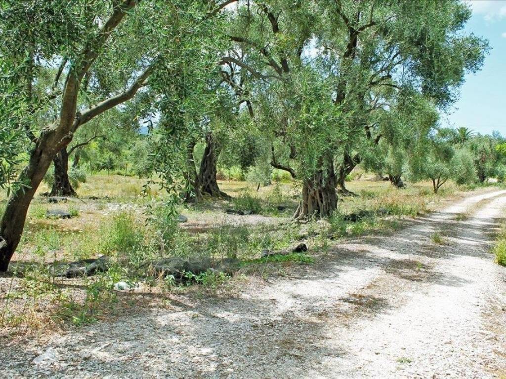 Detached - Grekodom 61220|918341