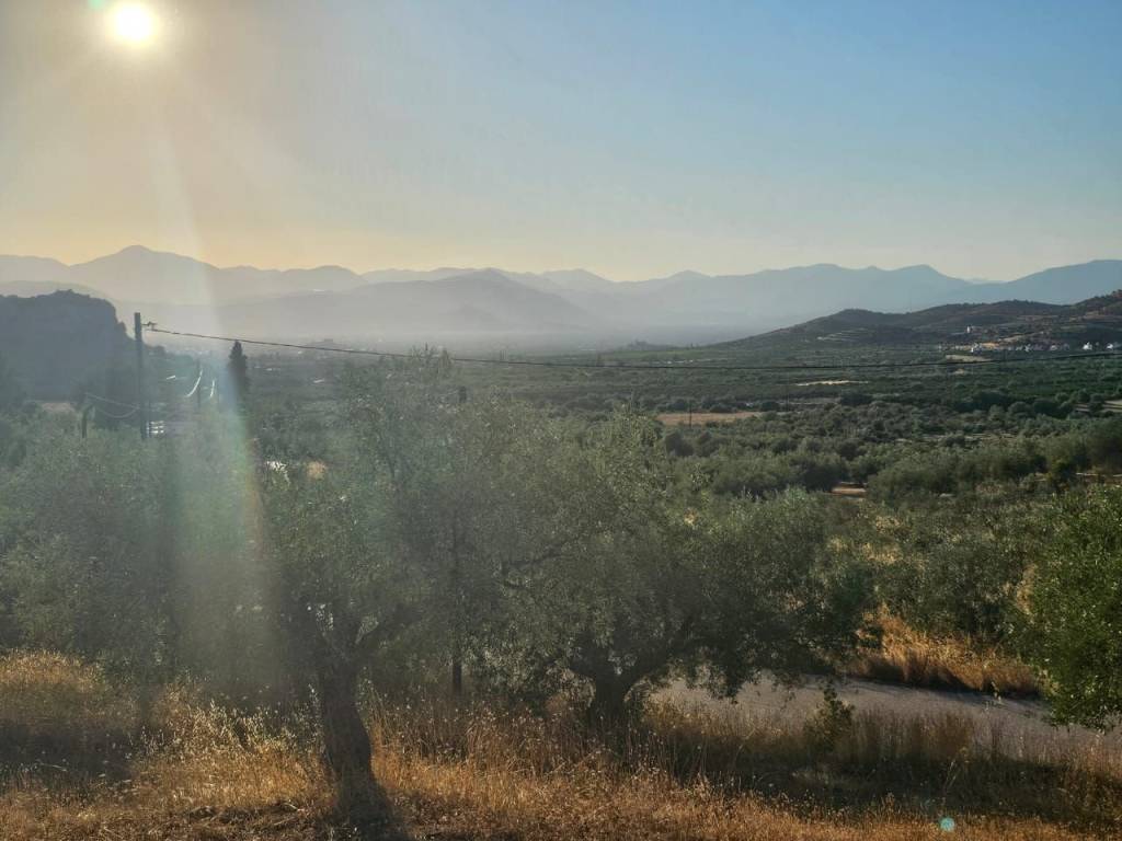 prime and buildable plot of land