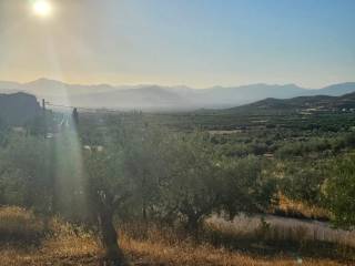 prime and buildable plot of land