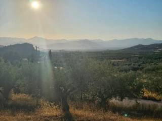 prime and buildable plot of land