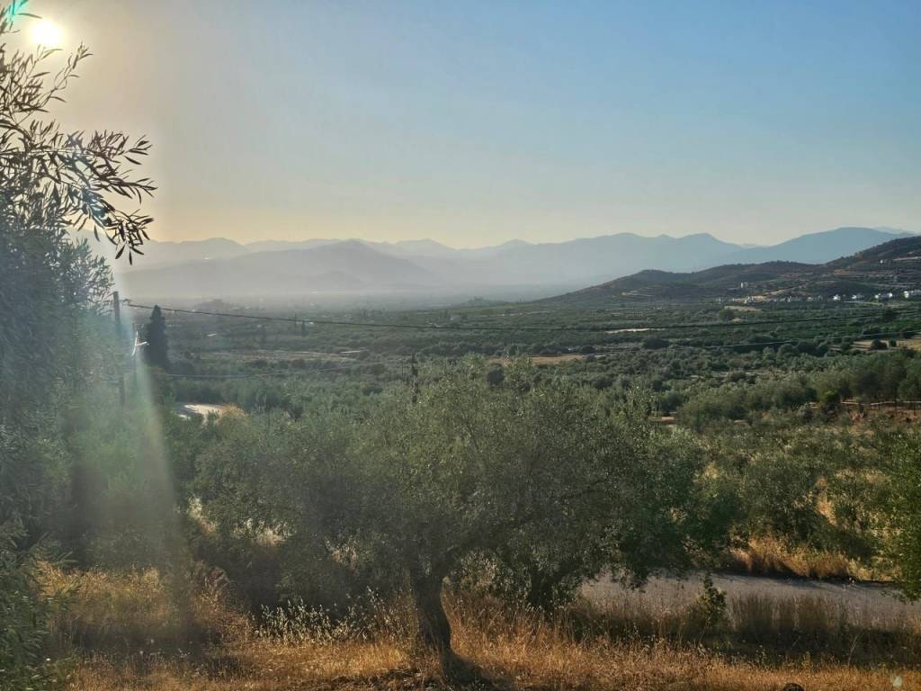 prime and buildable plot of land