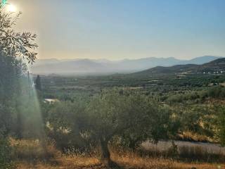 prime and buildable plot of land