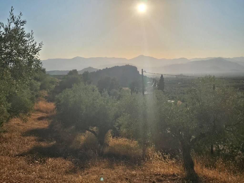 prime and buildable plot of land