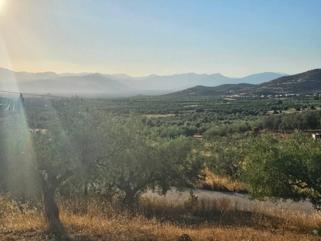 prime and buildable plot of land