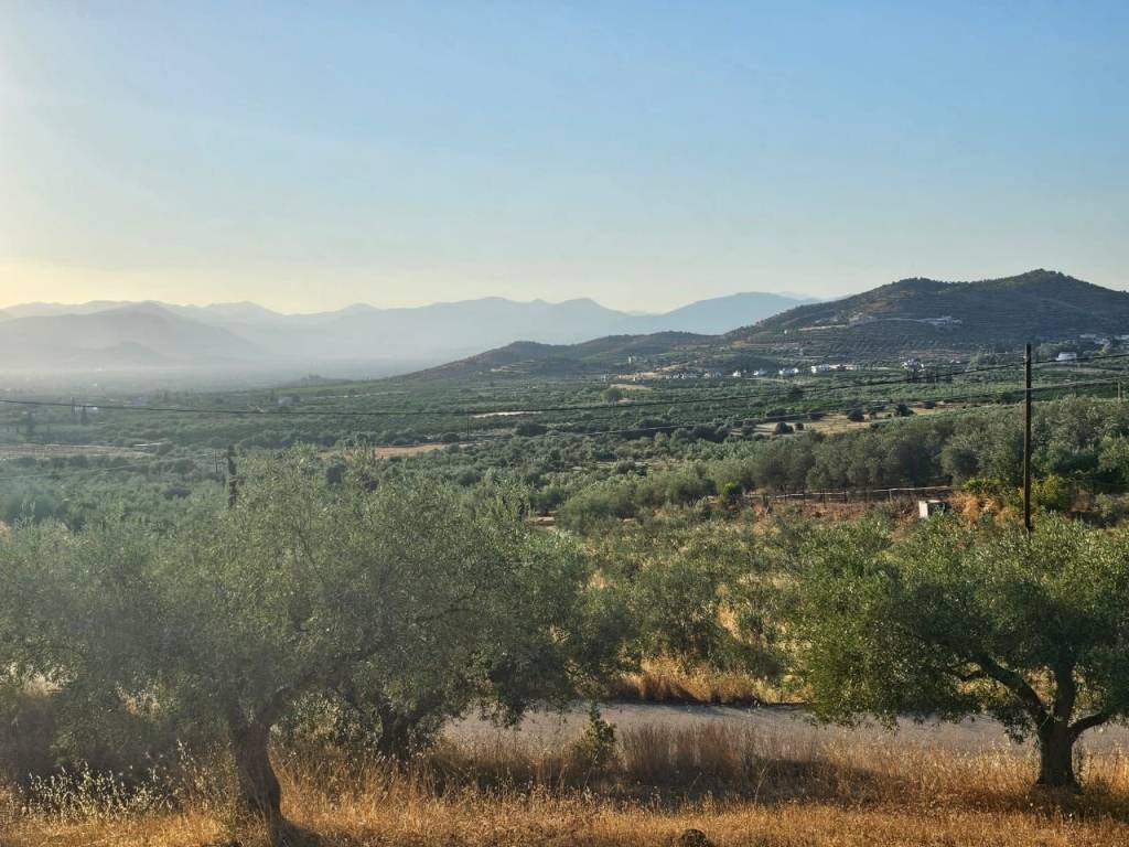 prime and buildable plot of land